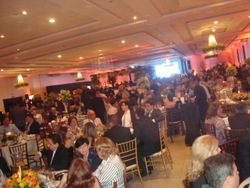 DSC03476-001