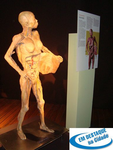 DSC004366