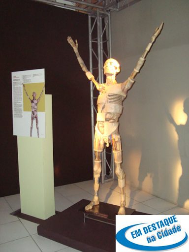 DSC004455