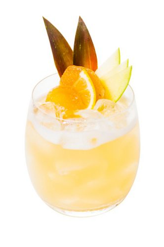 citroen_ginger_smash (1)