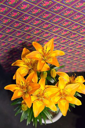 imagem_release_271429