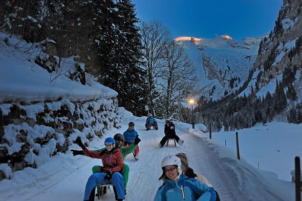 Schlitteln, Nacht, Gruppe; Sledding, Night, Group;